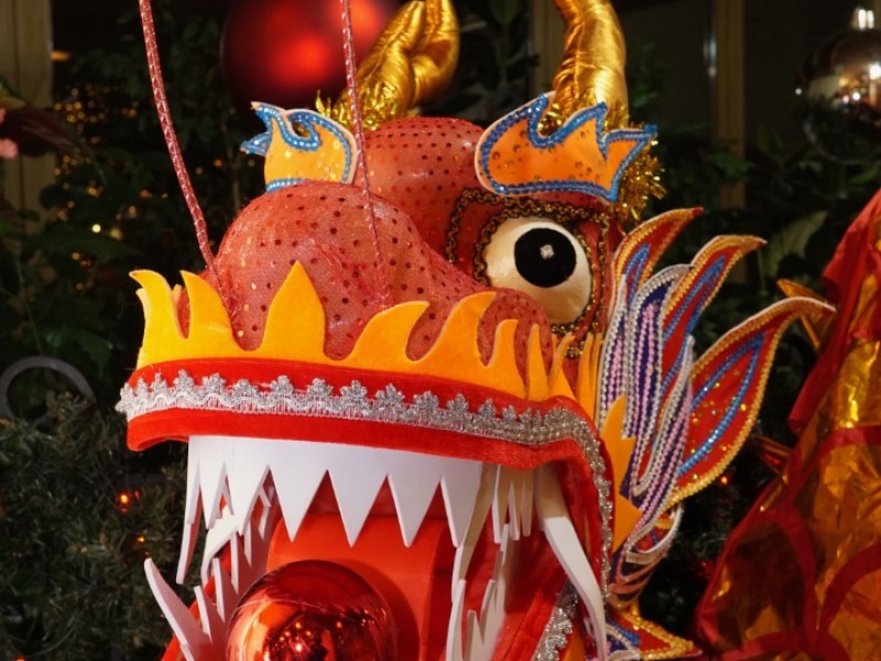 DSC08686
